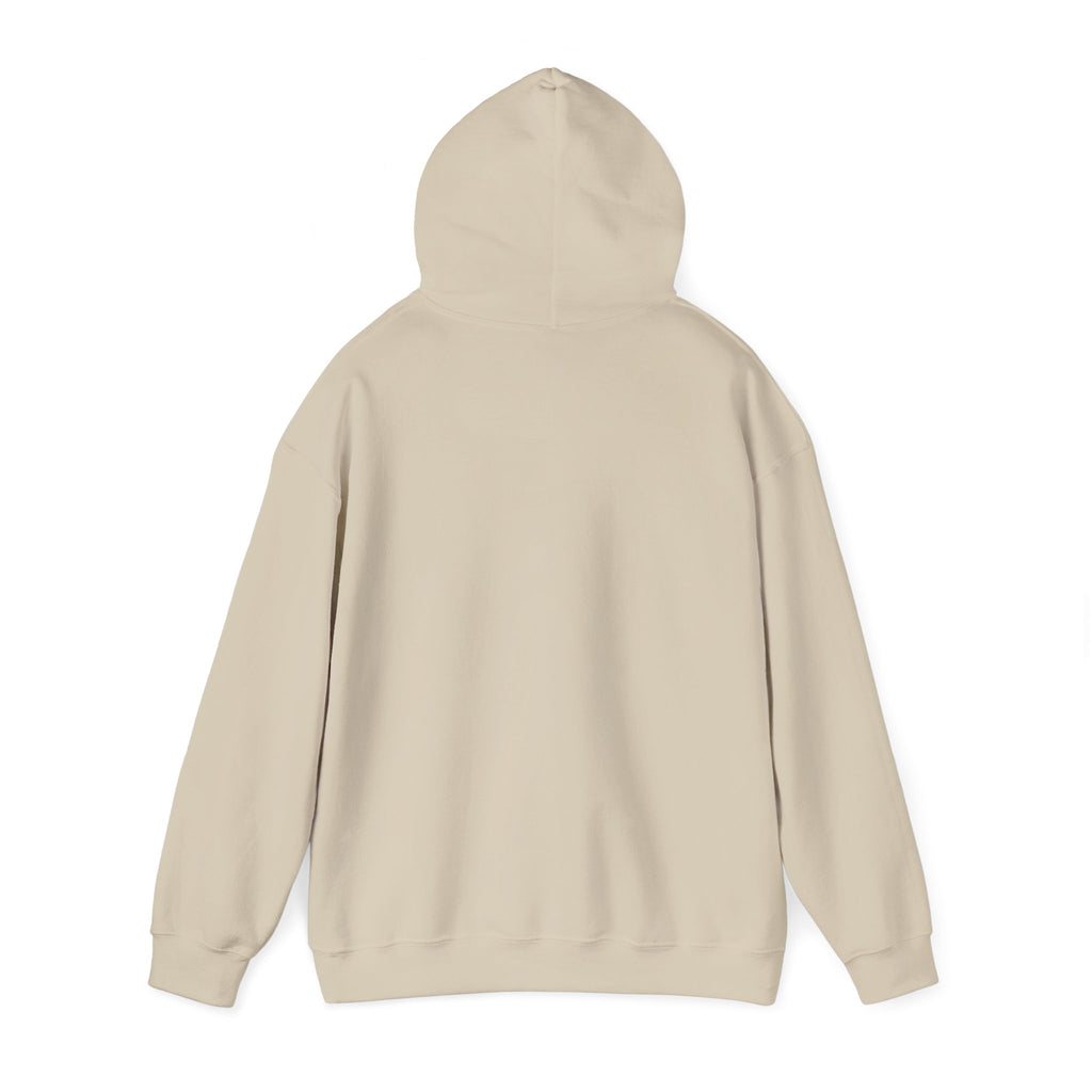 No Smoking without me Hoodie
