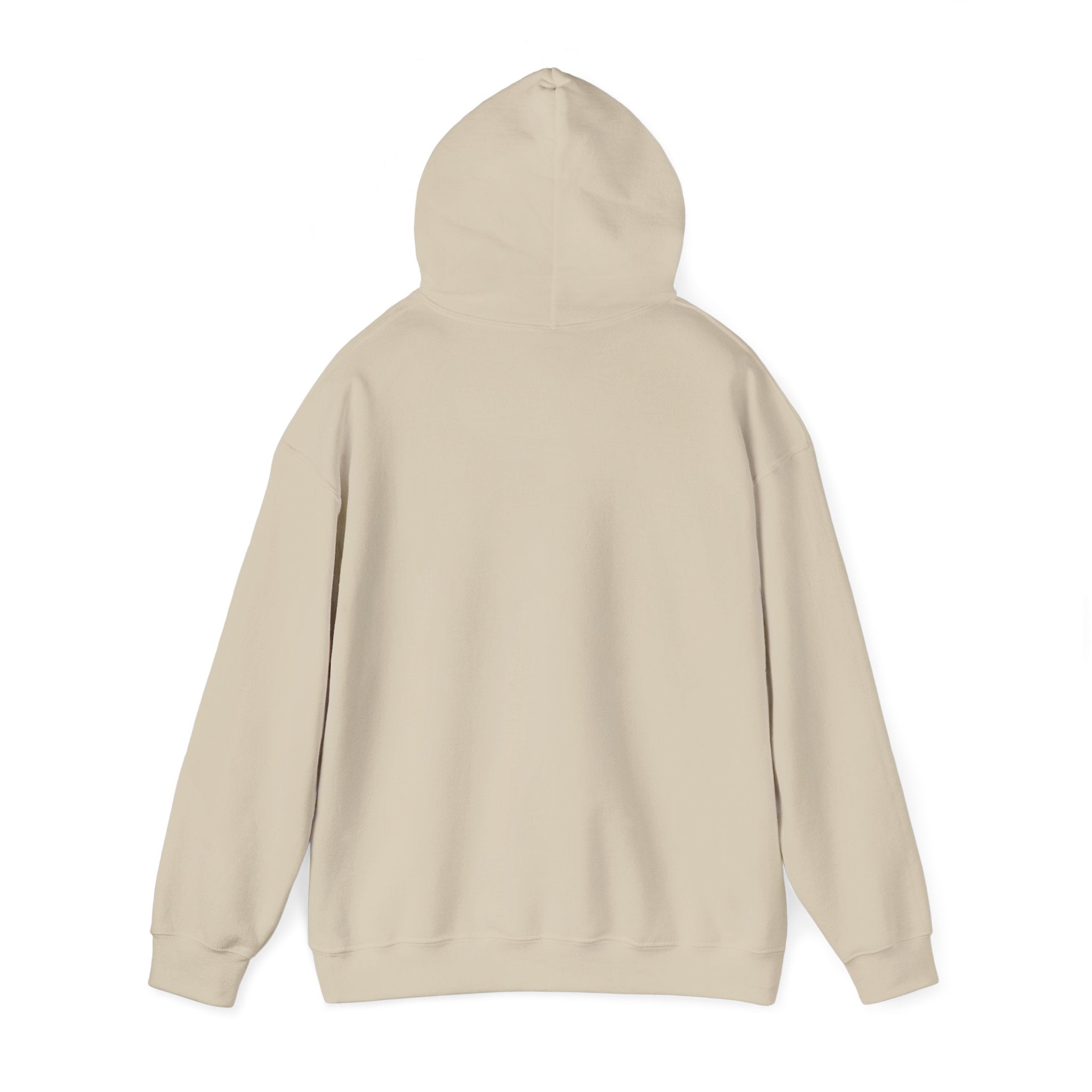 No Smoking without me Hoodie