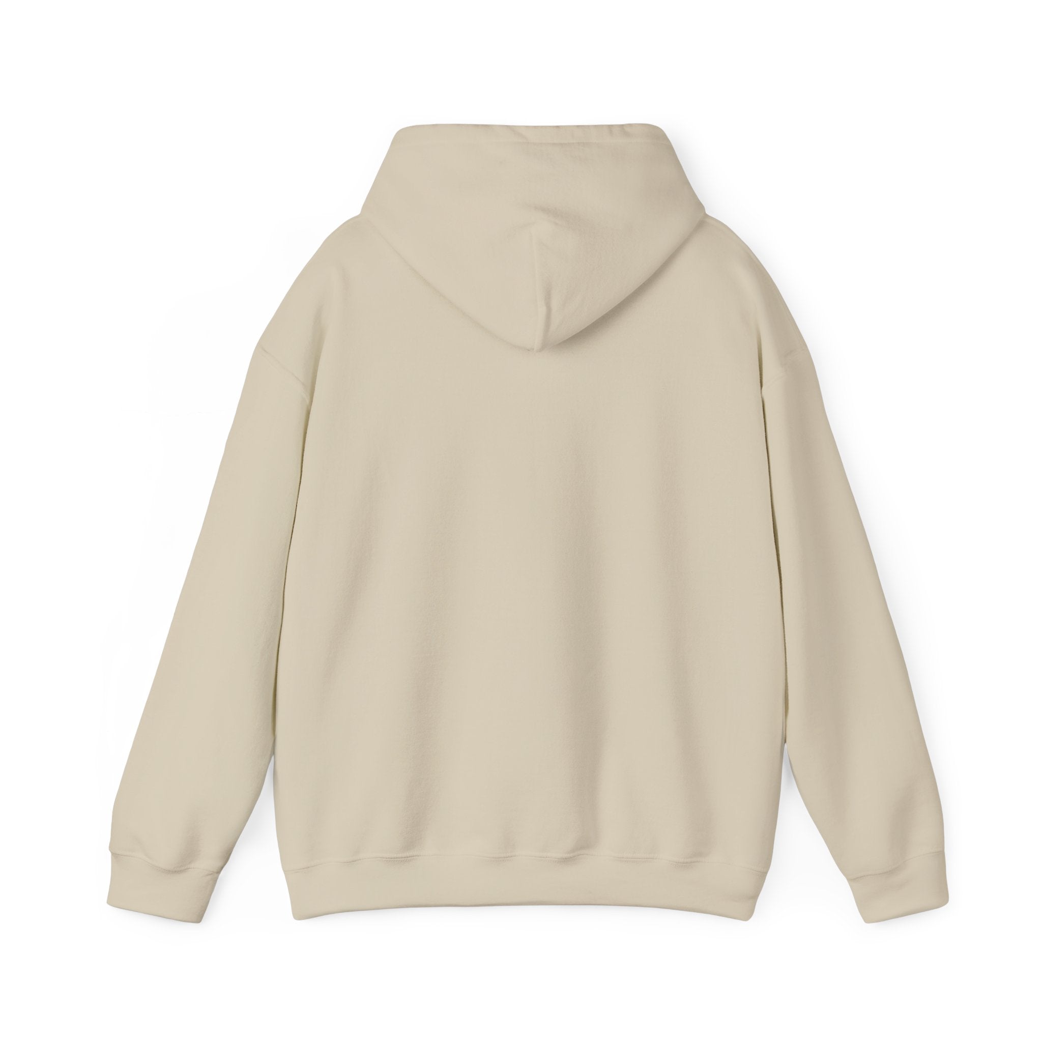 No Smoking without me Hoodie