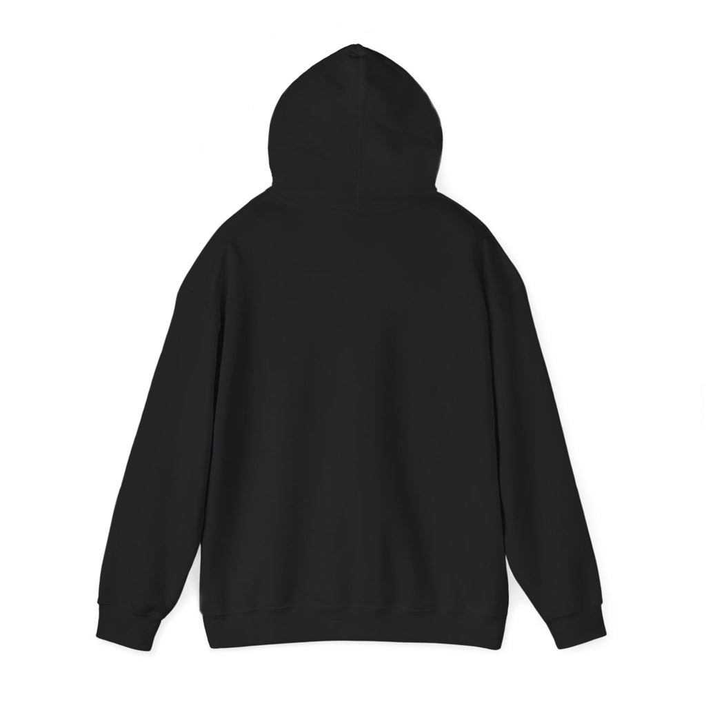 No Smoking without me Hoodie