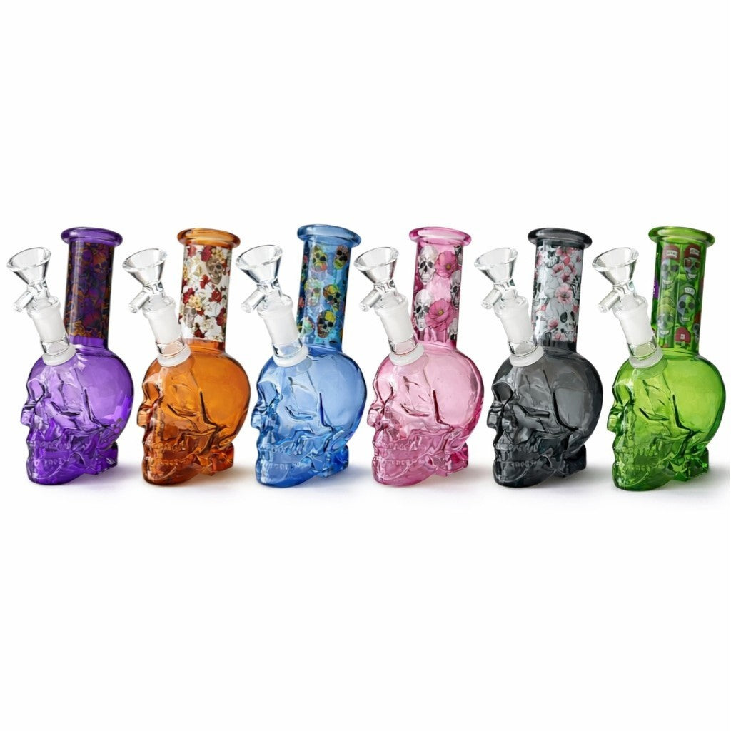 6 PCS Skull Gift Set