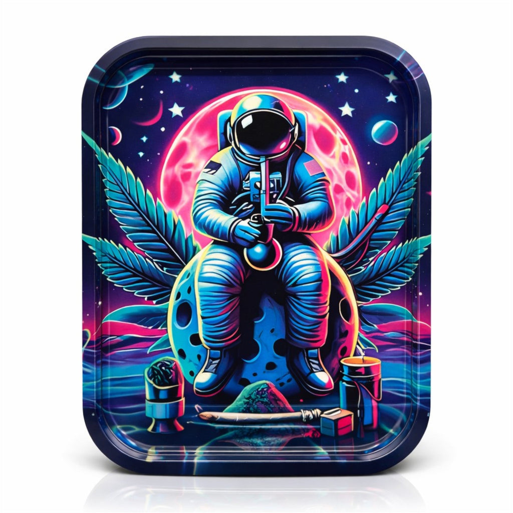Astronaut Carrying Case