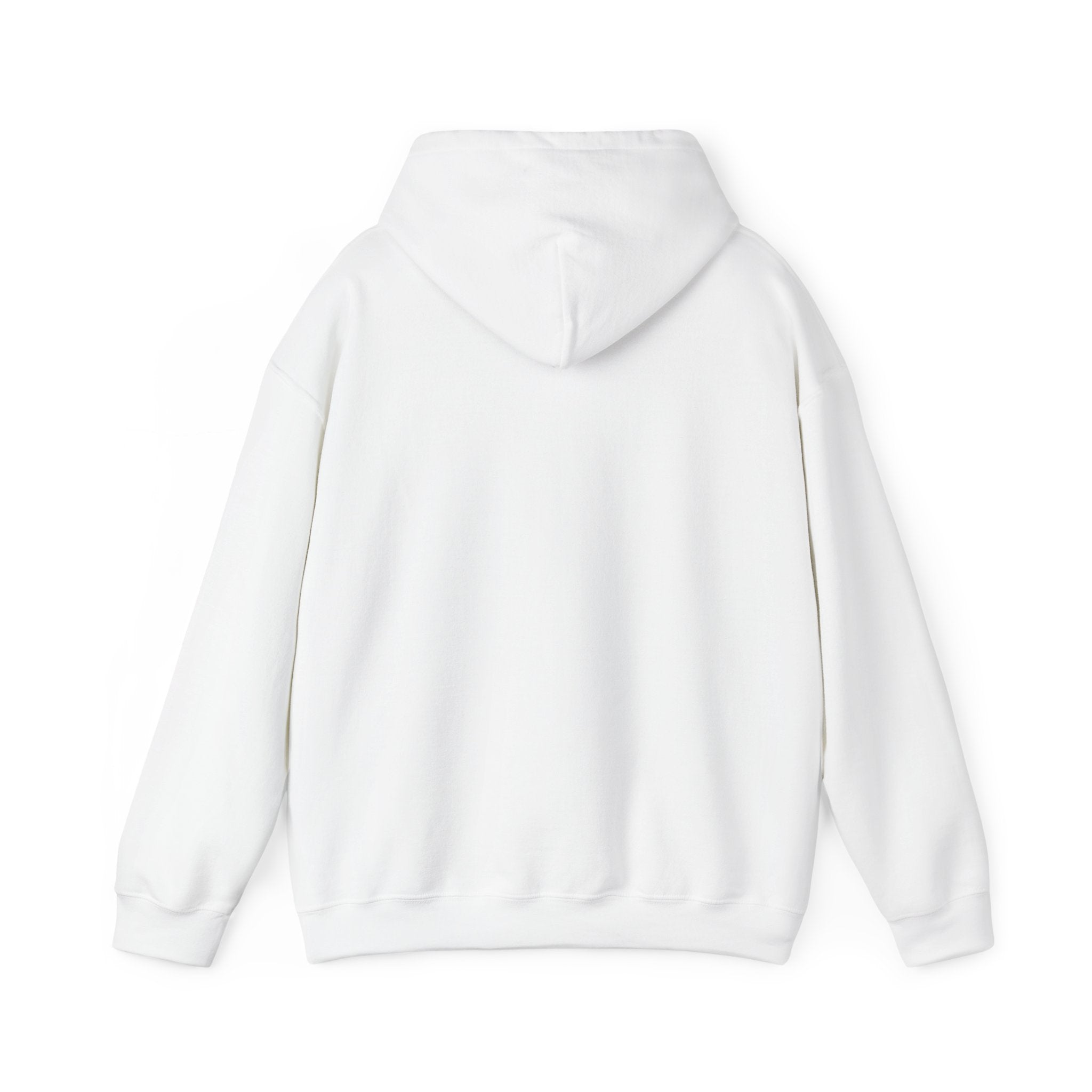 No Smoking without me Hoodie