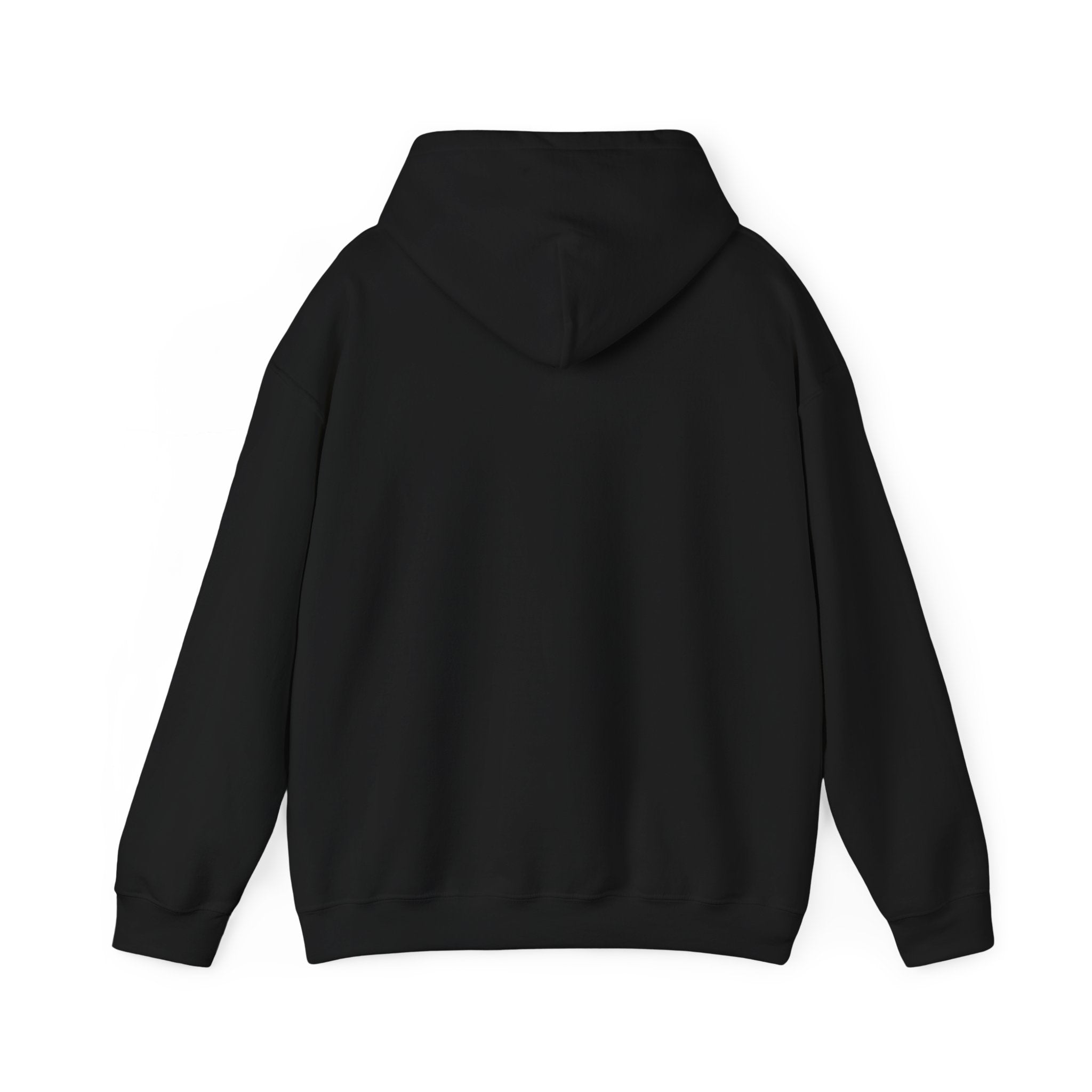 No Smoking without me Hoodie