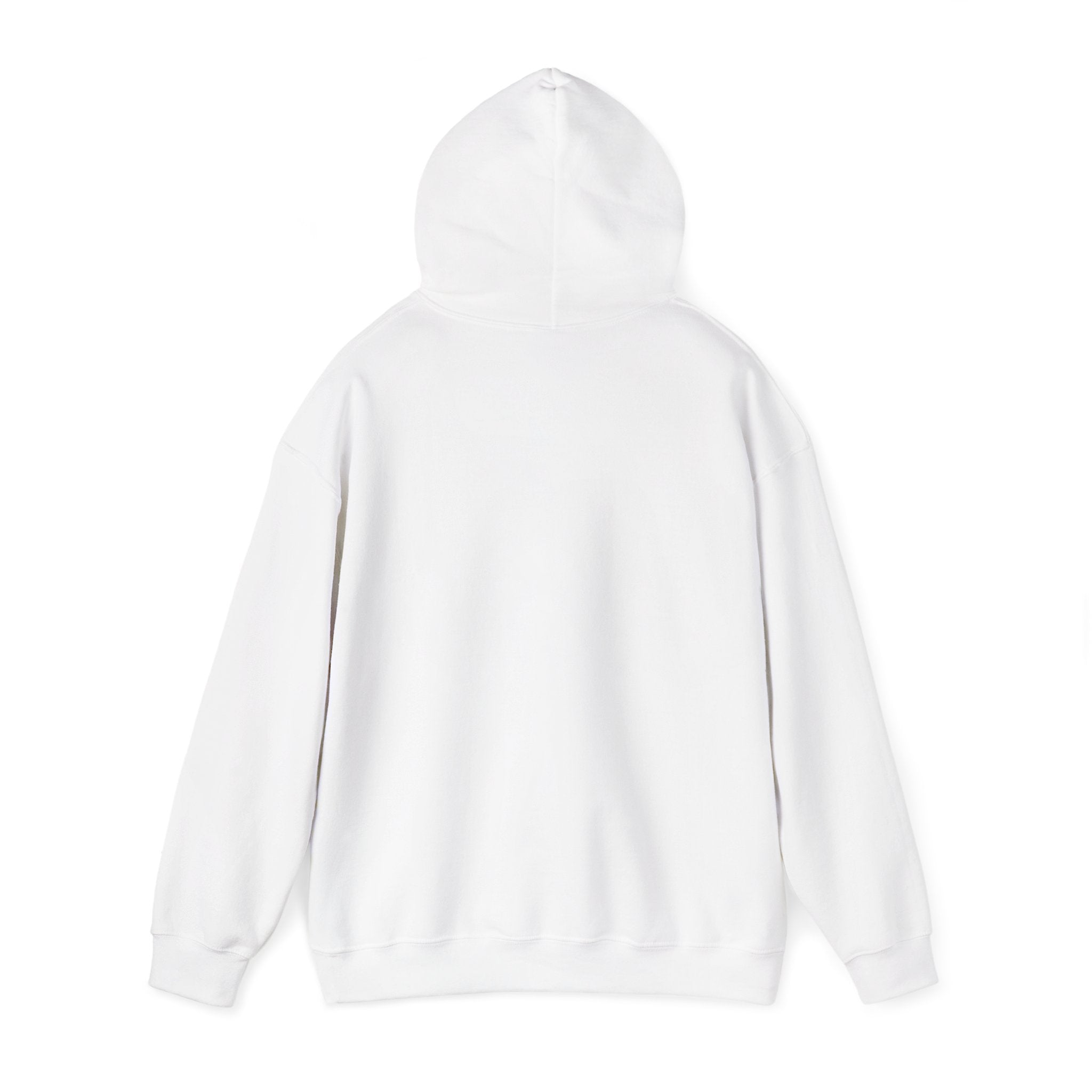 No Smoking without me Hoodie